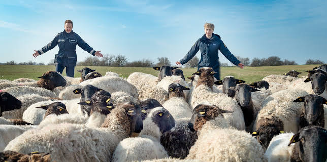 11:15: SOKO Wismar | ZDF | 12/18 2025