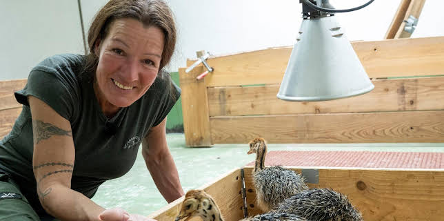 07:10: Hofgeschichten - Ackern zwischen Alpen und Ostsee (11) | NDR Fernsehen | 3/15 2026