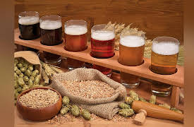 Food, Science, and the Human Body: Beer, Mead, and the Fun of Fermentation