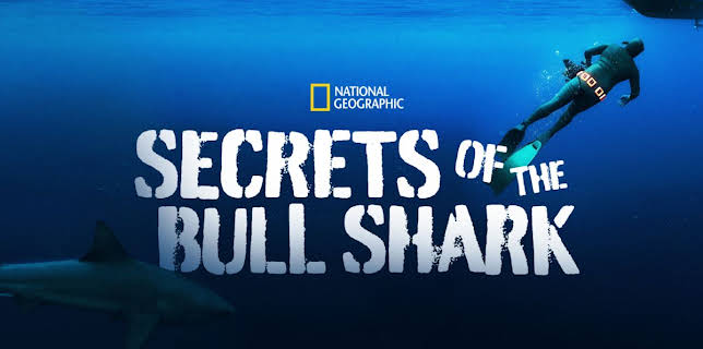 Secrets of the Bull Shark (2020)