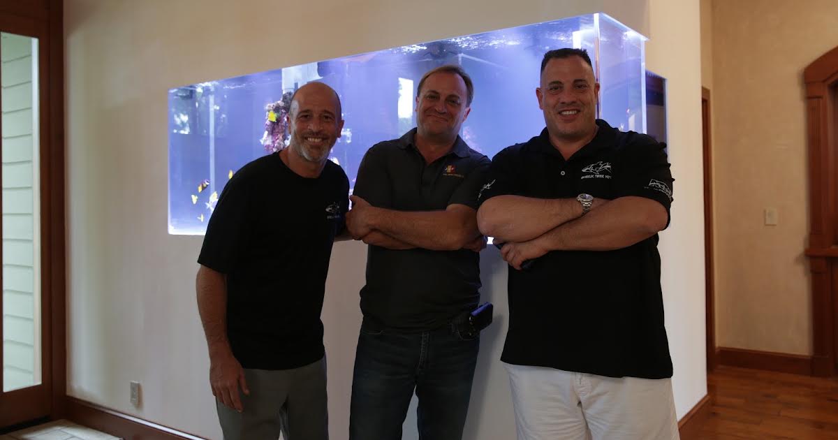 18/9 08:25 | Tanked på Animal Planet