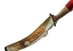 Zesta punta
