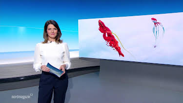 09:00: Nordmagazin | NDR Fernsehen | 10/18 2026