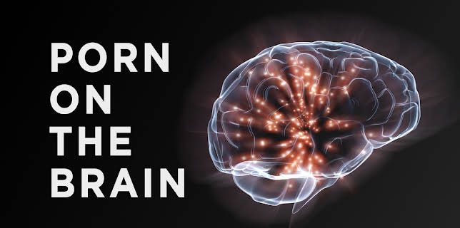 Porn on the Brain (2013)