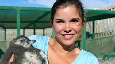 08:00: Anna und die wilden Tiere | Das Erste | 11/29 2025