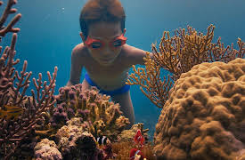 A World of Calm, Season 1: The Coral City -- Narrated by Lucy Liu