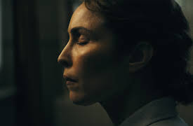 Constellation: These Fragments I Have Shored Against My Ruin