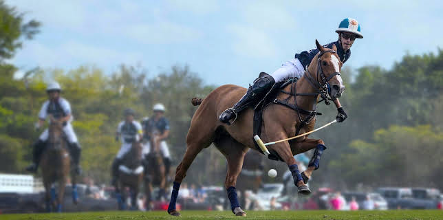Polo: Ära, berömmelse och hästar