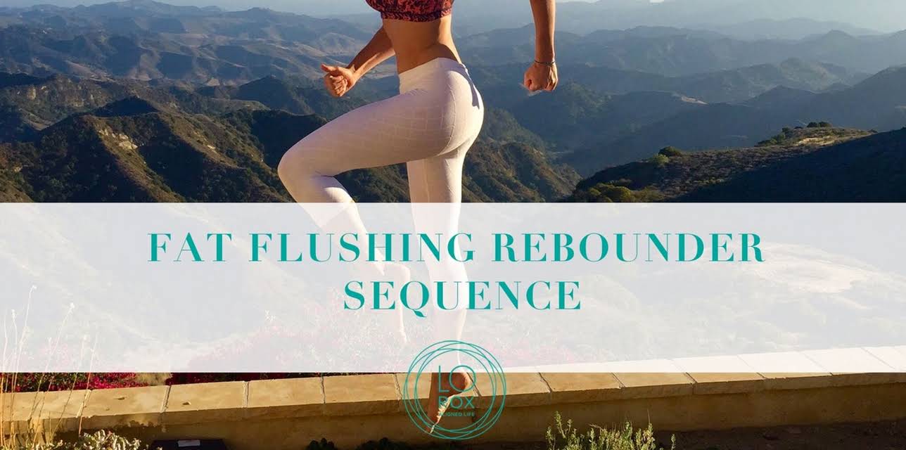 Fat Flushing Rebounder Sequence (2018)