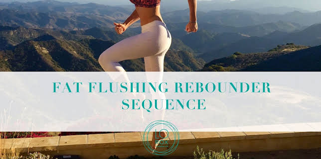 Fat Flushing Rebounder Sequence (2018)
