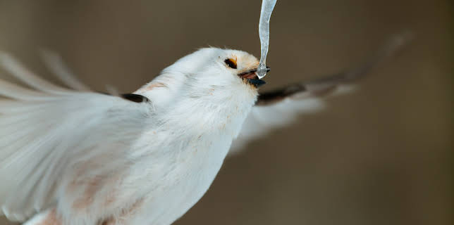 19:30: Asien | ZDF | 1/4 2026