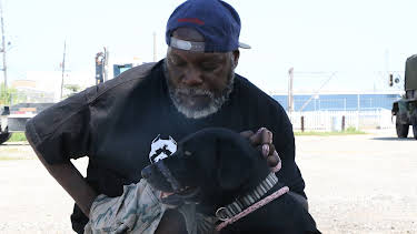 15:00: Pit Bulls & Parolees (S8 E19) (S8) | Animal Planet | 5/20 2026