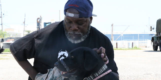 15:00: Pit Bulls & Parolees (S8 E19) (S8) | Animal Planet | 1/14 2026