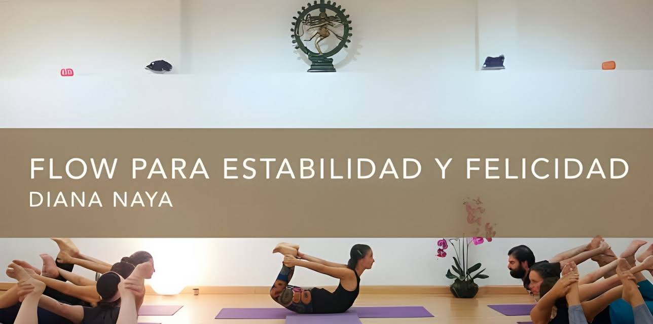 Flow para estabilidad y felicidad (2016)