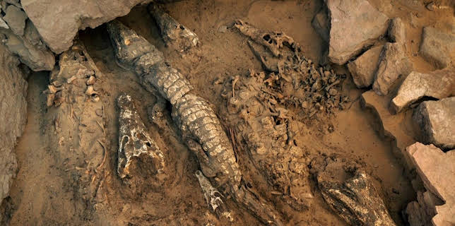 22:35: Verborgen im Sand - Geheimnisse der Vergangenheit | Kabel Eins Doku | 2/14 2026