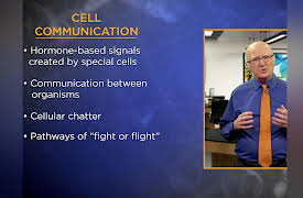 Biochemistry and Molecular Biology: How Life Works: Hormones, Stress, and Cell Division