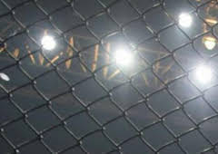 UFC 1: The Beginning