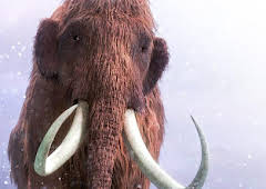 Woolly Mammoth: Secrets from the Ice