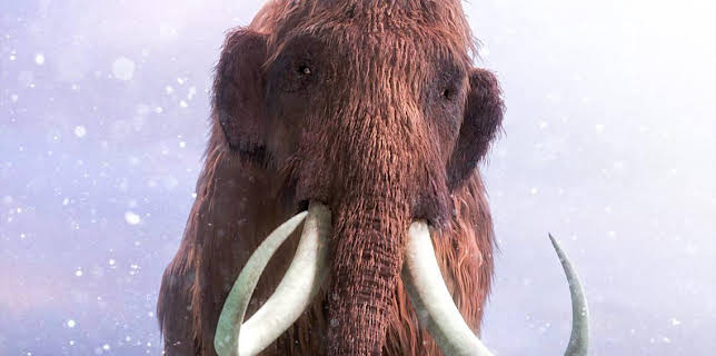 11:30 PM: Woolly Mammoth: Secrets from the Ice | BBC Four | 12/7 2025