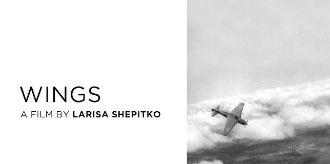Wings (1996)