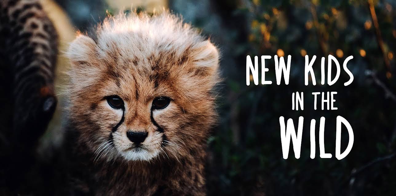 New Kids in the Wild S1