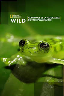 06:15: Monstruos de la naturaleza: bichos espeluznantes | Nat Geo Wild | 8/28 2026