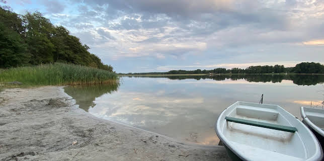 05:00: Terra Xpress | ZDFneo | 3/13 2026