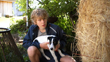 08:35: Tiere bis unters Dach (98) | Das Erste | 6/7 2026