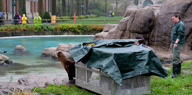 06:50: The Zoo (S4 E3) (S4) | Animal Planet | 1/28 2026