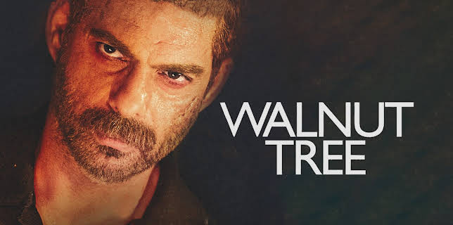 Walnut Tree (2022)