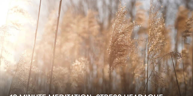10 Minute Meditation: Stress Headache (2023)