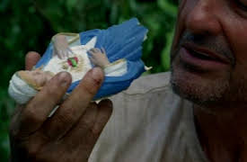 Lost Season 1: Deus Ex Machina