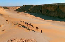 Wild Africa: Deserts