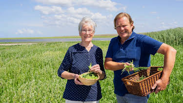 13:00: Lecker an Bord | WDR Fernsehen | 9/12 2026