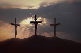 Stevie's Trek to the Holy Land: Season 1: Messiah's Promise