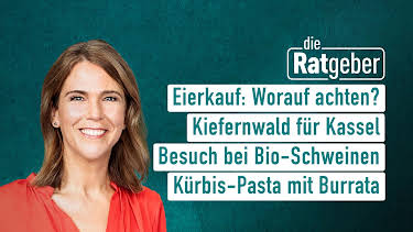 08:20: Die Ratgeber | HR Fernsehen | 10/15 2026