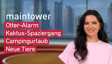 maintower