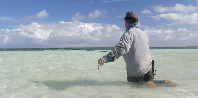 00:00: Fish or Die (S1 E9) (S1) | Animal Planet | 10/30 2025