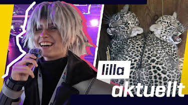 09:45: Lilla Aktuellt | Barnkanalen | 7/30 2026