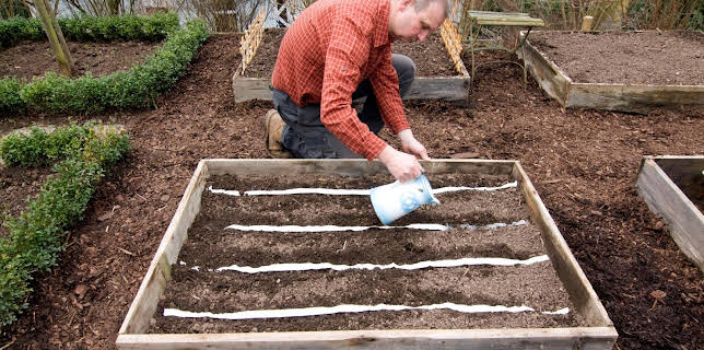 15:30: Schnittgut. Alles aus dem Garten | BR Fernsehen | 3/6 2026
