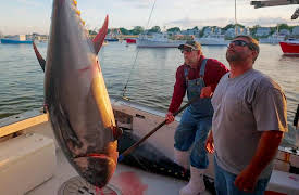 Harpoon Hunters, Season 1: Bluefin Bloodline