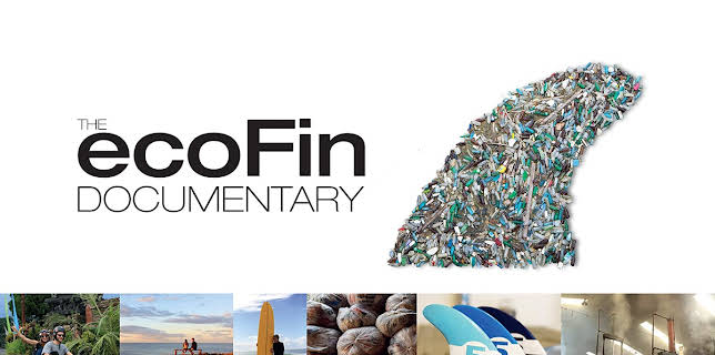 ecoFin Documentary (2011)