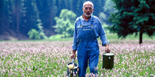 07:30: Löwenzahn Classics | ZDFneo | 12/10 2025