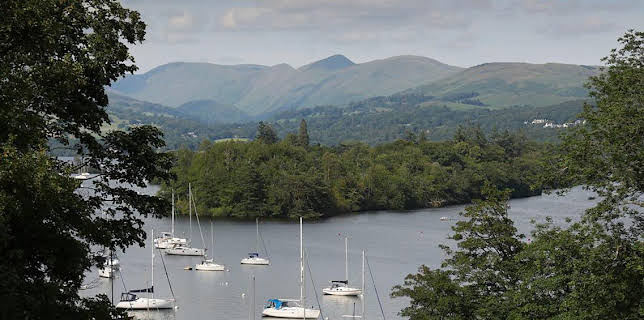 Lost and Found in the Lakes