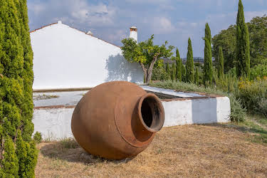 06:45: Traumorte - Alentejo | 3SAT | 8/7 2026