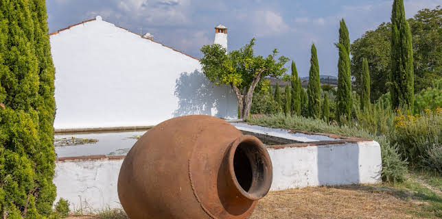 00:55: Traumorte - Alentejo | 3SAT | 12/15 2025