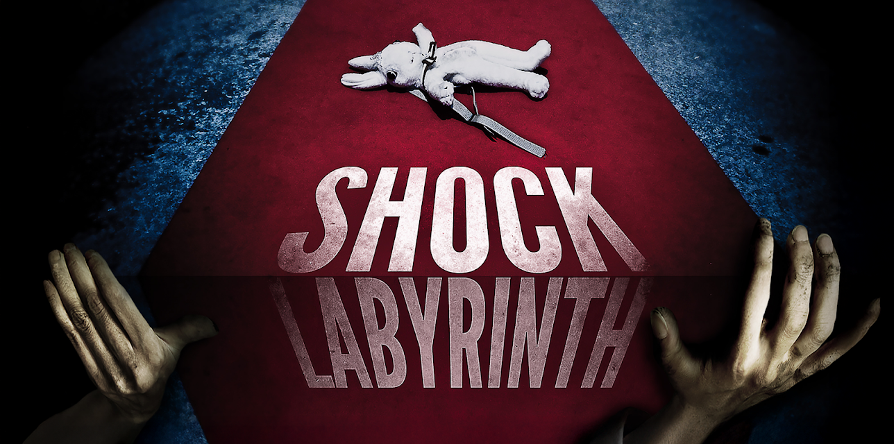Shock Labyrinth (2012)