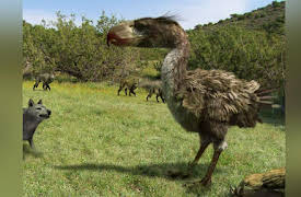 Monsters Resurrected: Season 1: Terror Bird