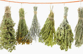 How to Grow Anything: Food Gardening for Everyone: Extending the Growing Season