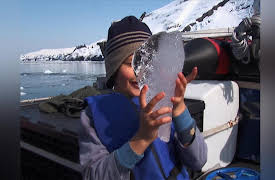 Travel with Kids: Alaska RV Kenai Adventure